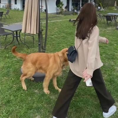 心灵的故事